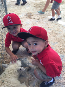Holy Family Petting Zoo